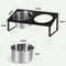 Dogs/Cats Bowl Raised Stainless Steel Dogs/Cats Feeding Station 10° Tilted Feeding Bowl